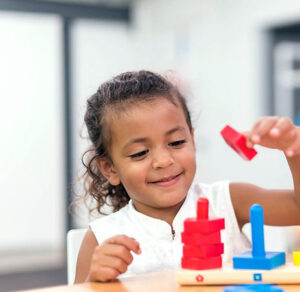 860b7d_cb0a314c7c8043fbae21b0124df5468d-mv2-300x292